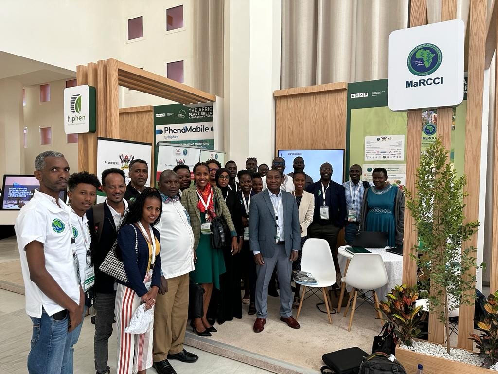Read more about the article The Quantum Leap Africa Doctoral Training Program